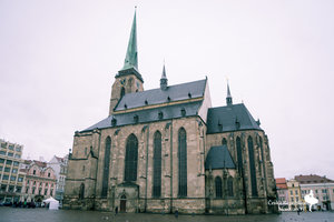 圣巴特罗明教堂Katedrála svatého Bartoloměje