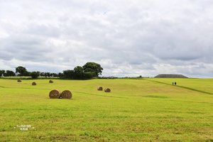 卡罗莫尔Carrowmore Megalithic Cemetery