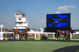 埃克塞特赛马场Exeter Racecourse
