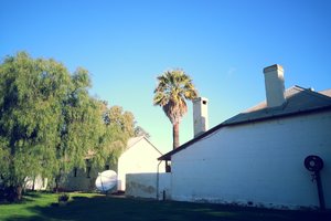 格里诺花园博物馆Greenough Museum &amp; Gardens