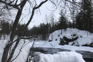 奥兰卡国家公园Oulanka National Park