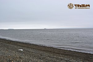 阿纳德尔Anadyr