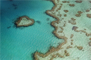 心形礁Heart Reef