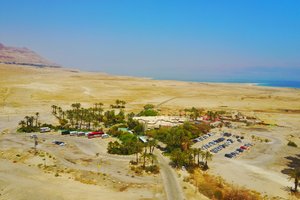 Ein Gedi Spa和海滩Ein Gedi Spa&amp;beach