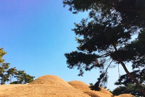 武宁王陵Royal Tombs in Songsan-ri