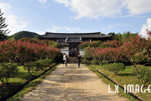 屏山书院