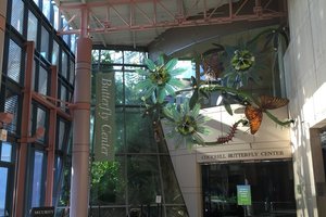 休斯顿自然科学博物馆The Houston Museum of Natural S