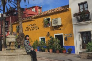 马贝拉老城区Ciudad Vieja de Marbella