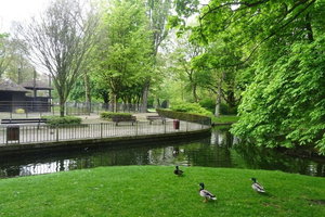 默温斯坦公园Park Merwestein