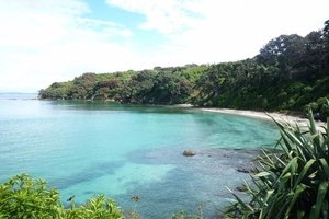 蒂利蒂利马唐伊岛Tiritiri Matangi Island