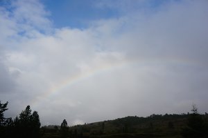 Utvik