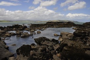 古董湾化石森林Petrified Forest Curio Bay