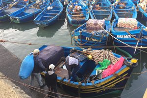 索维拉港Port d'Essaouira