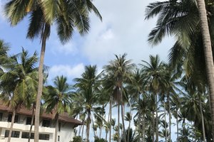 纳闽岛棕榈滩度假村Palm Beach Resort &amp; Spa, Labua