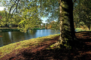 赖斯特堡公园Rijsterborgherpark