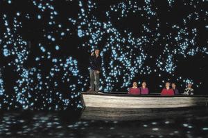 怀托莫萤火虫洞Waitomo Glowworm Caves