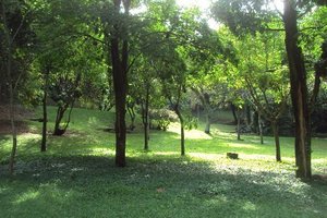Eduardo Guinle公园Parque Guinle