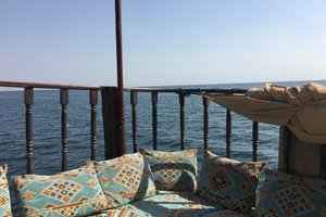 Musandam海豚湾Musandam