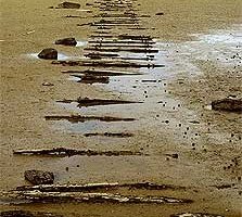 西天湾海洋保护区和野生物管理保护区Westhaven