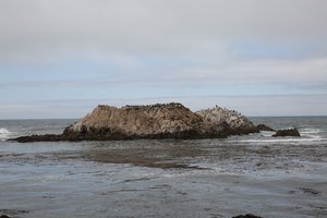 鸟岩Bird Rock