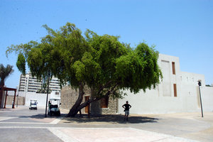 Sharjah Art Museum