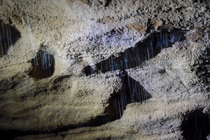 Aranui洞Aranui Cave