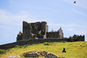 卡瑟尔岩石城堡Rock of Cashel