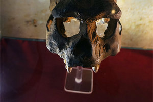 桑义兰早期人类遗址Sangiran Early Man Site