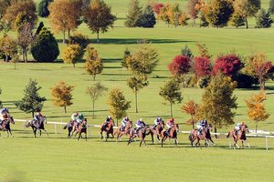纳文马场Navan Racecourse