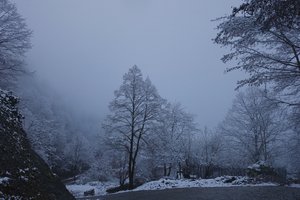 Katskhi Piller