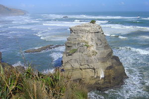 穆里怀沙滩Muriwai Beach