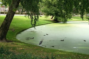 Heemraadssingel Park