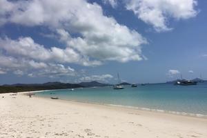 天堂海滩野餐的冒险Whitehaven Beach Picnic Adventure