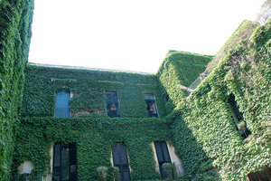 拉洛宅邸Palazzo Rollo
