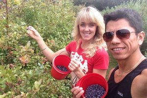 BerryHealthy 蓝莓果园BerryHealthy Blueberries