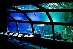 留尼汪岛水族馆L'Aquarium de La Réunion