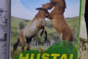 呼斯泰音国家公园Khustain (Hustai) National Park