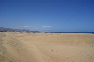 洛马斯的沙丘Dunas de Maspalomas