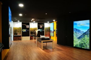 内尔哈博物馆Museo de Nerja