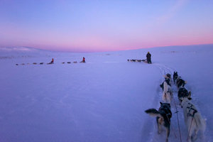 Sarek国家公园Sarek National Park