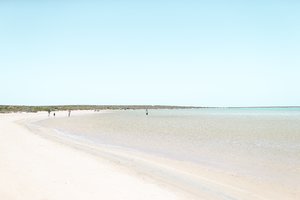 贝壳海滩Shell Beach