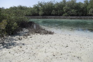 穆罕默德国家公园Ras Mohamed National Park