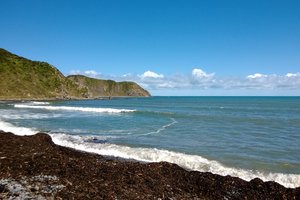 马卡拉海滩Makara Beach