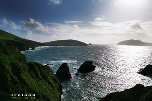 邓金Dunquin