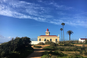 佩达德角Ponta da Piedade