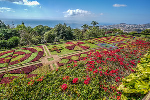 马德拉植物园Madeira Botanical Garden