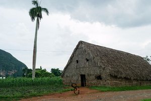 比尼亚莱斯山谷Valle de Vinales