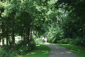 维施琳根森林公园Revierpark Wischlingen