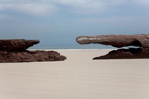 雅各布里斯公园海滩Jacob Riis Park Beach