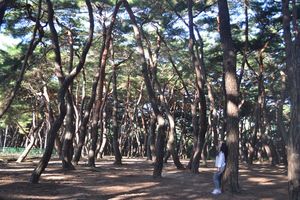 庆州南山Namsan Mountain